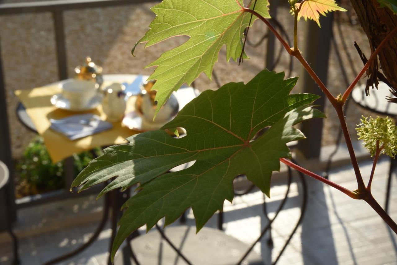 Umema B&B アルベンガ エクステリア 写真